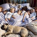 ���� Regina, ������ - ��������� 22 �������� 2014 � ������ ������ ��������