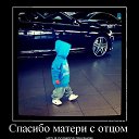 ���� �������, ���������, 37 ��� - ��������� 8 ������ 2014 � ������ ���� ����������
