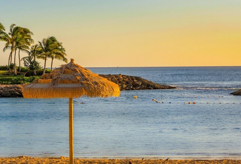 ������ - 5