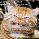 ���� ������� ����, ������� - ��������� 20 ������ 2014 � ������ ��� ���