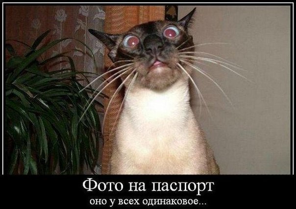     " "  -   : ...