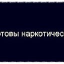 ���� �����, ����, 48 ��� - ��������� 8 ������� 2014 � ������ ������ ��������