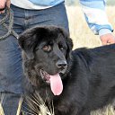 ���� Leonid, ������������, 55 ��� - ��������� 22 ������� 2014 � ������ ���� ����������