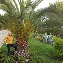 ���� ��������, �����, 65 ��� - ��������� 20 ������� 2014 � ������ ���� ����������