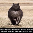 ���� �������, ������, 37 ��� - ��������� 15 �������� 2014