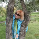 ���� �����, ����������, 65 ��� - ��������� 8 ������� 2014 � ������ ������ 2014�