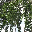 ���� *****Nata, ���� - ��������� 18 ������ 2014 � ������ ���� ����������