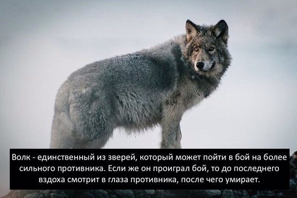   - 7  2014  17:17