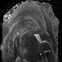 ���� �����, �����, 34 ���� - ��������� 25 ������ 2014 � ������ ������ ��������