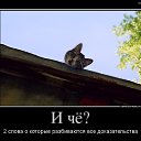 ���� O.l., �����, 59 ��� - ��������� 7 ������� 2014 � ������ �������