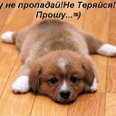 ���� �������, �������� - ��������� 24 ������ 2014 � ������ ������ ��������