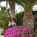 ���� �������, ����� - ��������� 1 �������� 2014 � ������ ������ 2014 ���