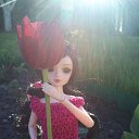 ���� �������, ������ - ��������� 12 �������� 2014 � ������ ���� ����������