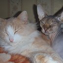 ���� �������� ��������, ������� - ��������� 23 ������� 2014 � ������ ������ ��������