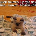  , - -  16  2014   ۻ