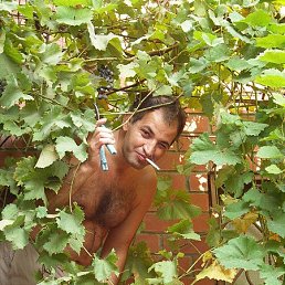 �����, ������, 56 ���