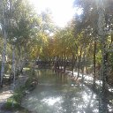  **,  -  8  2014     ))))