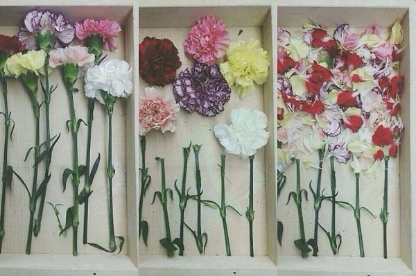 tumblr - 1  2014  08:54