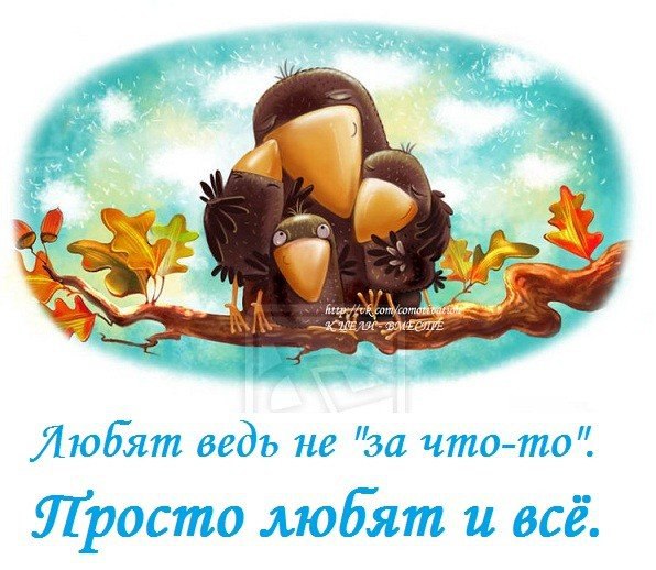  - 8  2014  01:47