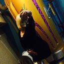 ���� ������, ������, 29 ��� - ��������� 16 ������� 2014 � ������ ���� ����������