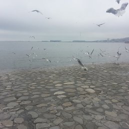 ���� Eldar, ����, 70 ��� - ��������� 7 ������� 2014