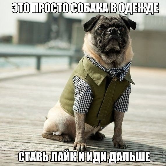    :D - 19  2014  09:48