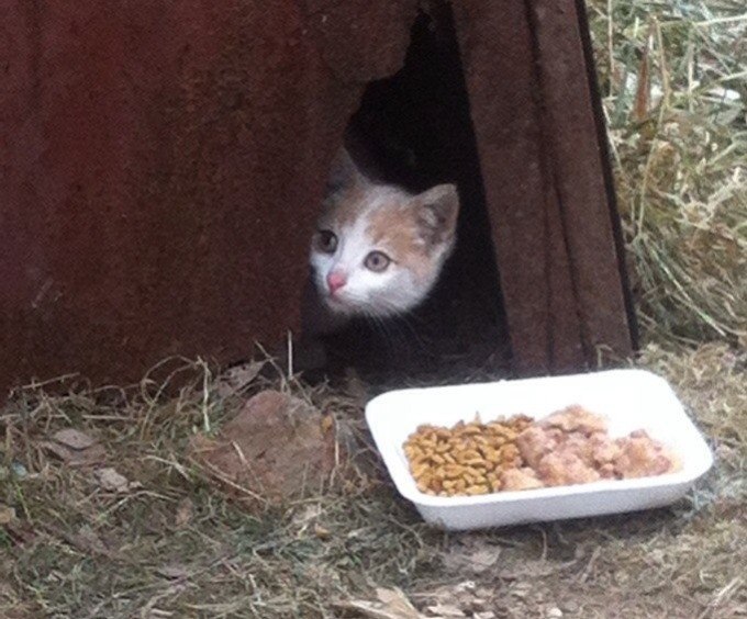  #_.,  ( ).        ...