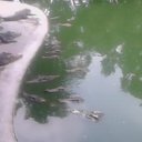���� �������, ����������, 61 ��� - ��������� 9 ������� 2014 � ������ ���� ����������