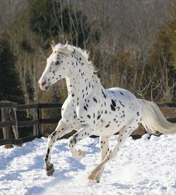 ������� - 10 ������� 2014 � 18:49