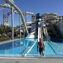  , , 55  -  29  2014    2014