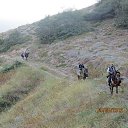  Tevos, , 43  -  28  2014    