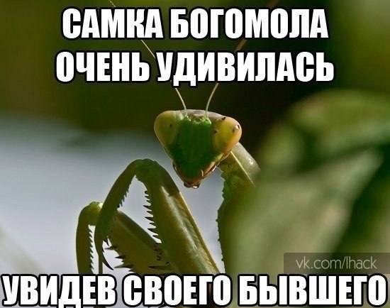 ������� - 18 �������� 2014 � 11:00