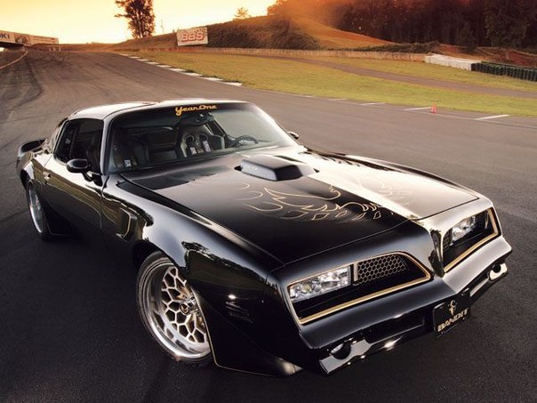 1977 Pontiac Firebird Trans Am - 3