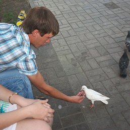 ��������, ��������, 40 ���