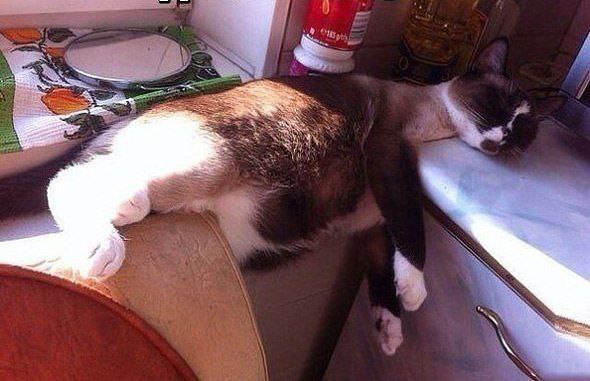 ��-��, ��� ������ ��� ������