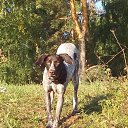 ���� �������, ������ - ��������� 9 �������� 2014