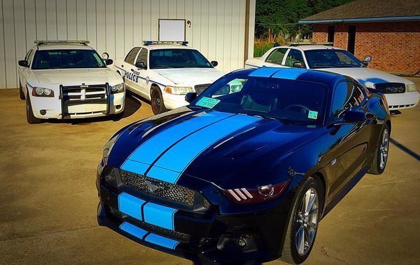 Ford Mustang GT Fastback - 2