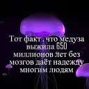  , , 51  -  9  2014    