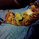 ���� Disa King, �������� - ��������� 24 ������ 2014 � ������ ������ ��������