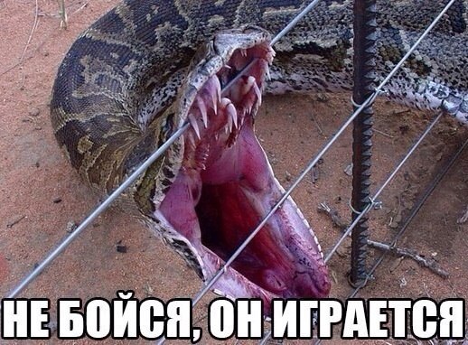   ,  : <a href=