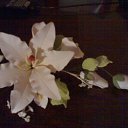 ���� Namor, ������, 45 ��� - ��������� 31 ������� 2014 � ������ ���� ����������