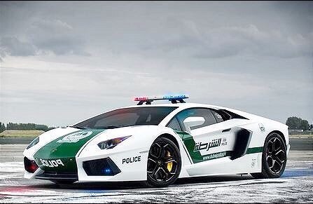 Dubai Police. - 3