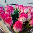 ���� �������, �����, 58 ��� - ��������� 2 �������� 2014 � ������ ������ ��������