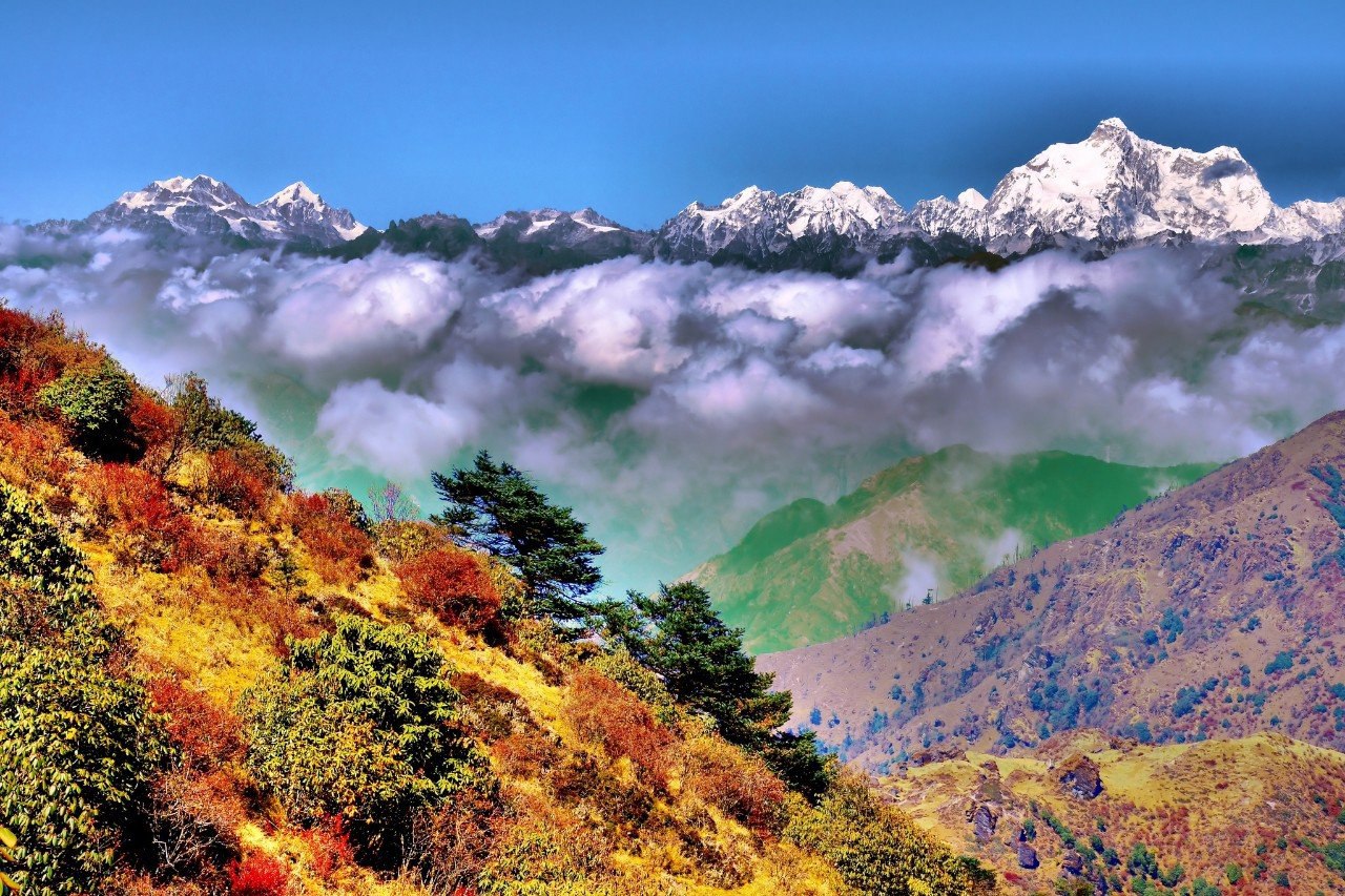 , .#@travel.blog