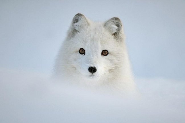    ? #animal@travel.blog - 8