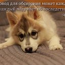 ���� �������, �����, 56 ��� - ��������� 4 ������� 2014 � ������ ������ ��������
