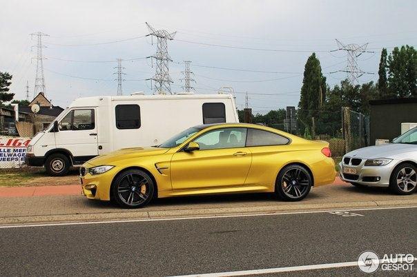 BMW M4 Coup (F82).   R6 (2979 )  431 ..  5500-7300 /  ... - 6