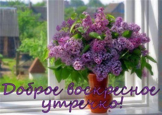 ~Dasha~ - 19  2014  05:15