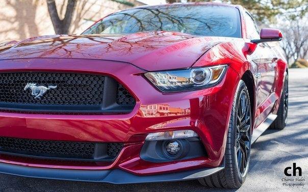 Mustang GT Fastback Coupe.5.0L V8: 420 .. : 529 :   ... - 2