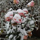 ���� ������, �������, 41 ��� - ��������� 18 ������� 2014 � ������ �������